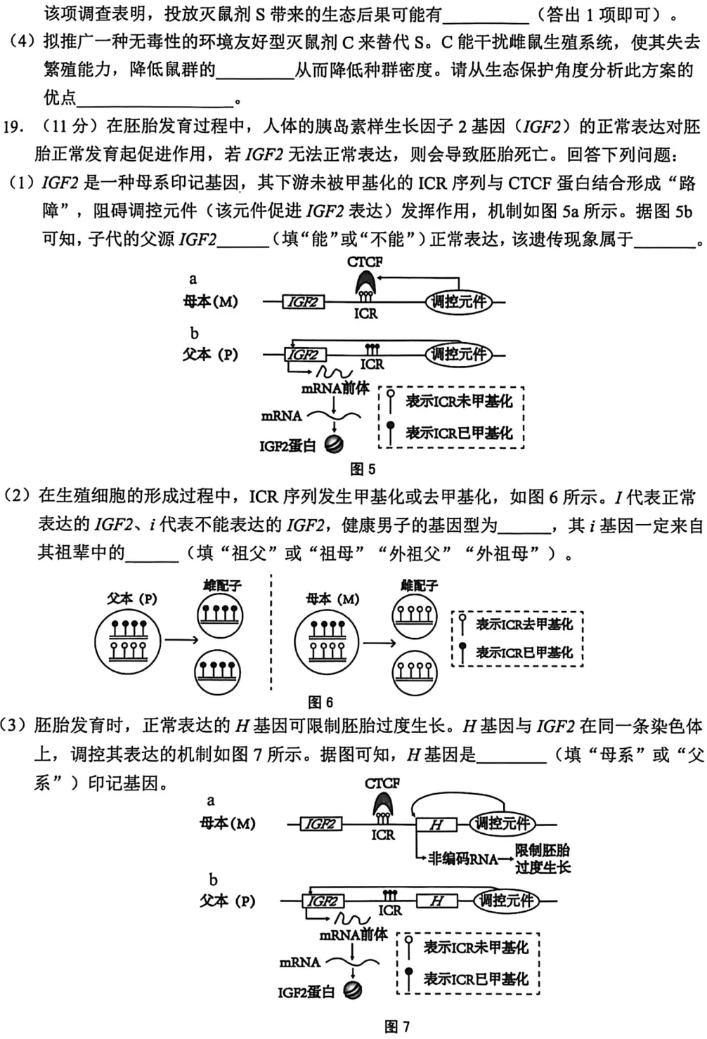 [ 高三一模 ] 2026年江门市高考模拟考试(一)生物学试题+参考答案(PDF下载) 第8张