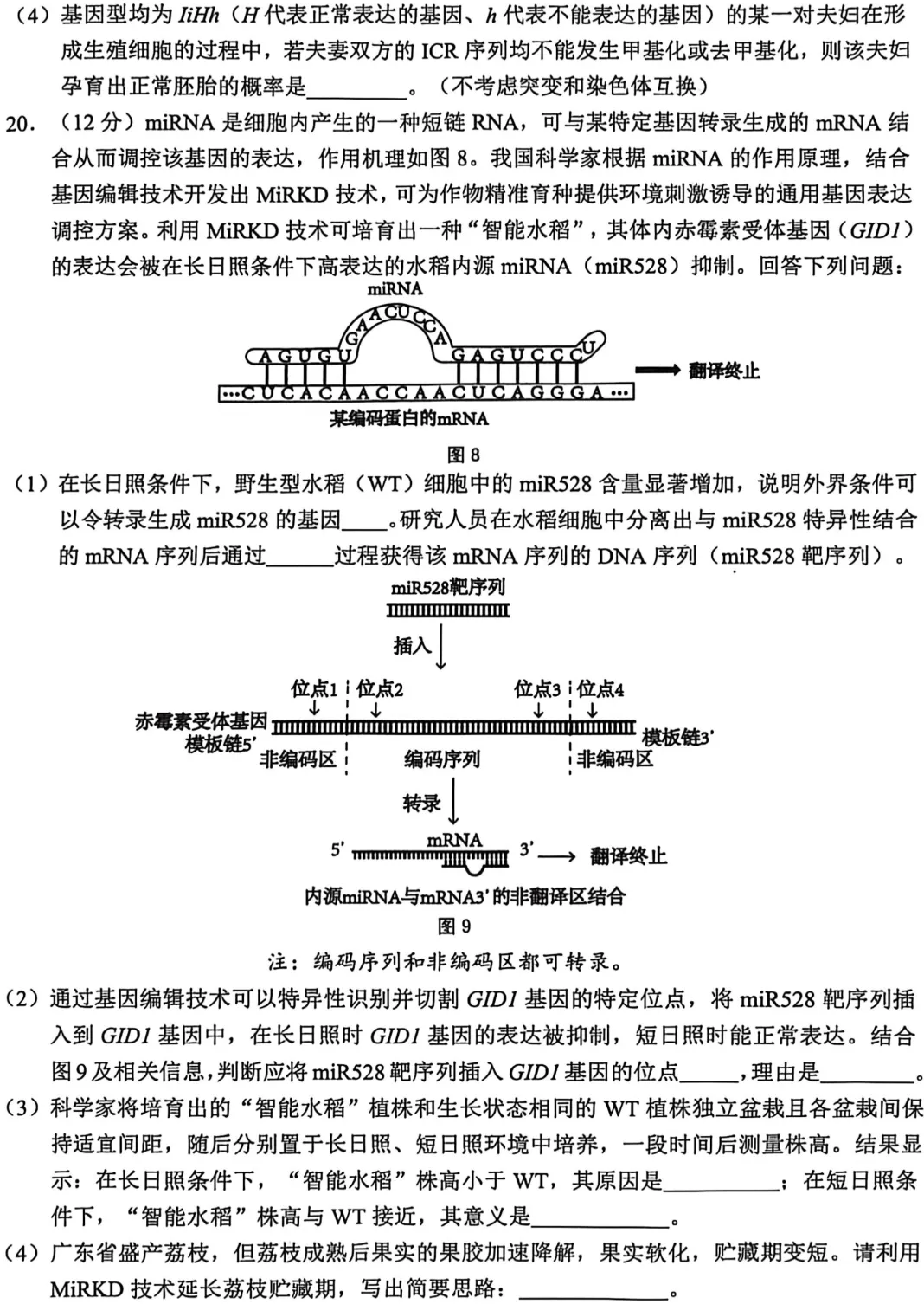 [ 高三一模 ] 2026年江门市高考模拟考试(一)生物学试题+参考答案(PDF下载) 第9张