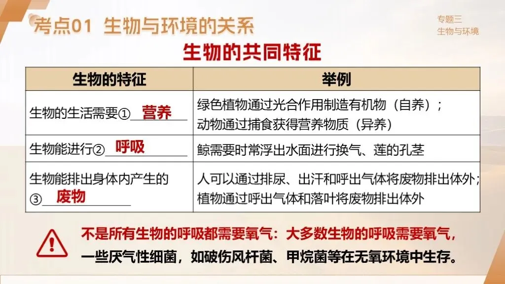 中考生物一轮复习专题3.1《生物与环境》 第21张 中考生物一轮复习专题3.1《生物与环境》 第21张