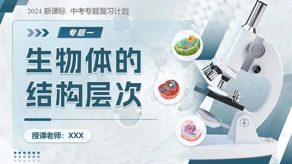 中考生物一轮复习专题一《生物体的结构层次》 第4张