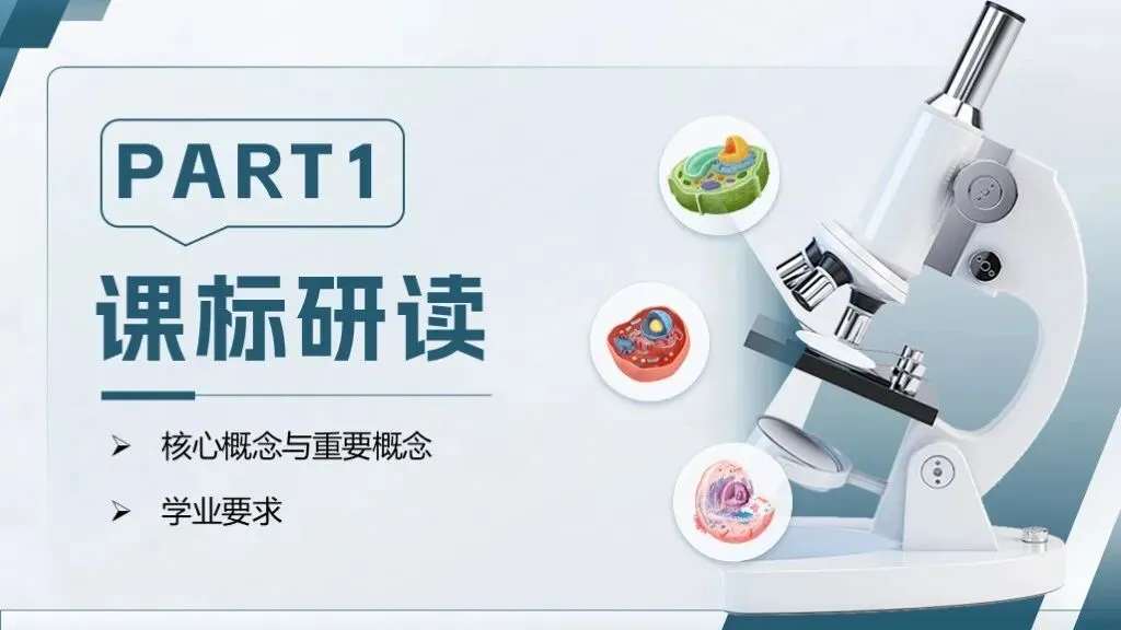 中考生物一轮复习专题一《生物体的结构层次》 第12张