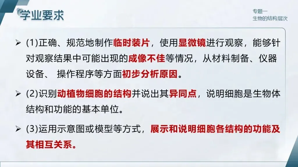 中考生物一轮复习专题一《生物体的结构层次》 第14张