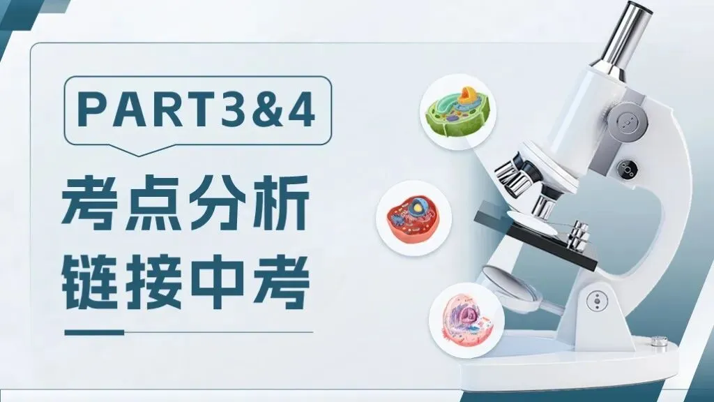 中考生物一轮复习专题一《生物体的结构层次》 第18张