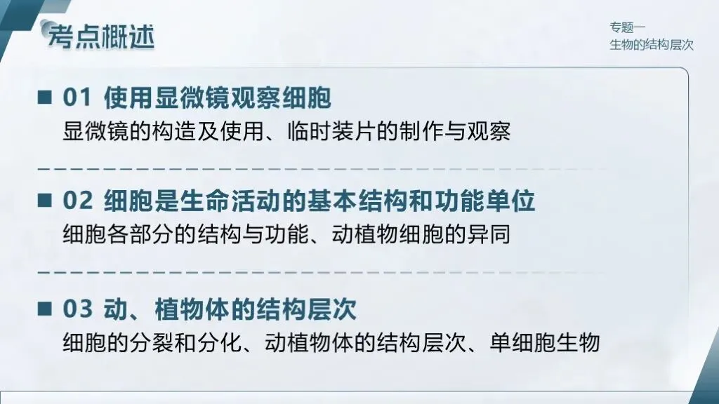 中考生物一轮复习专题一《生物体的结构层次》 第19张