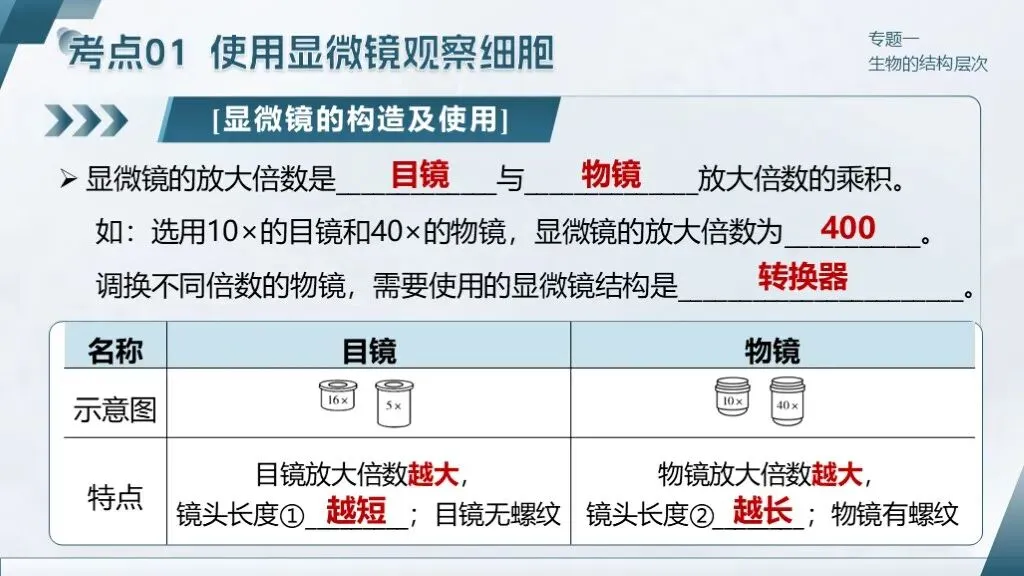 中考生物一轮复习专题一《生物体的结构层次》 第22张