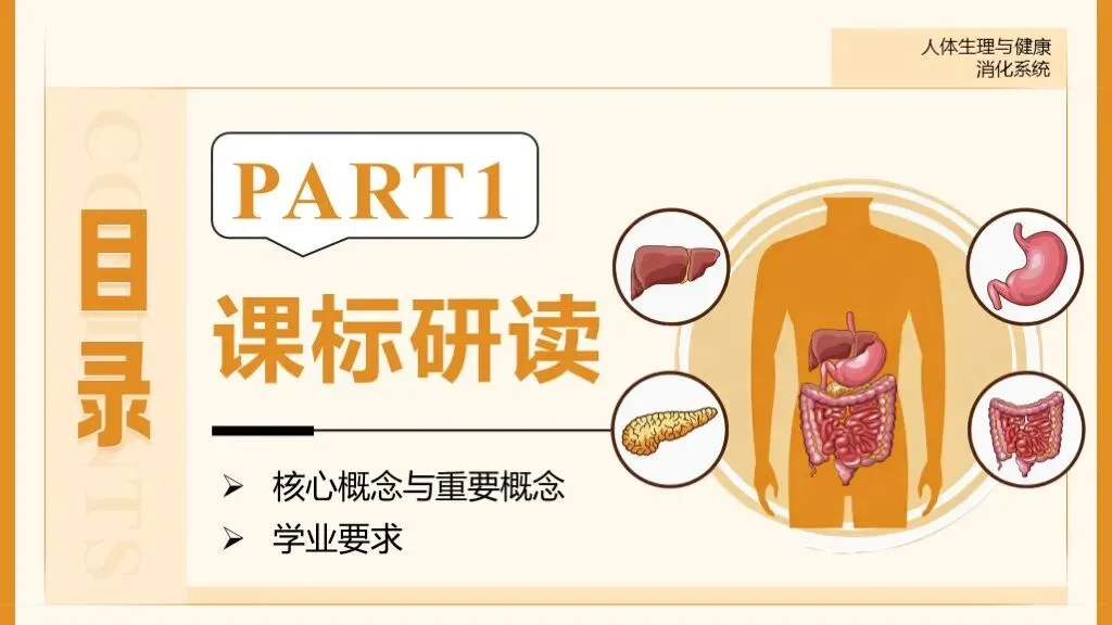 中考生物一轮复习专题5.1《人体生理与健康-消化系统》 第12张