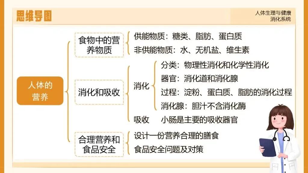 中考生物一轮复习专题5.1《人体生理与健康-消化系统》 第17张