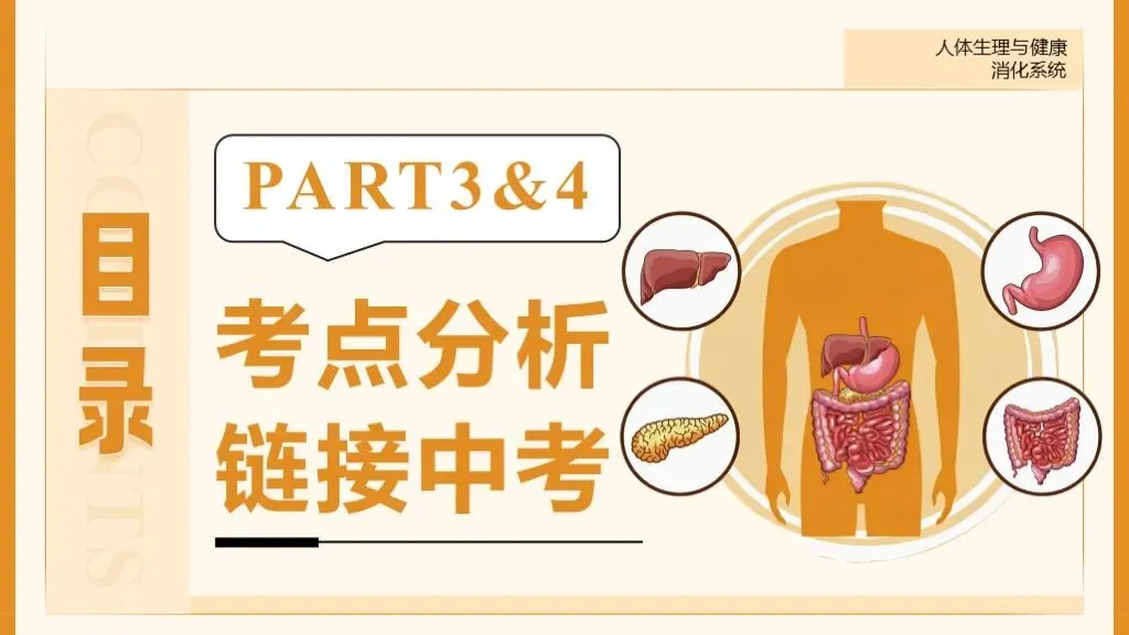 中考生物一轮复习专题5.1《人体生理与健康-消化系统》 第18张