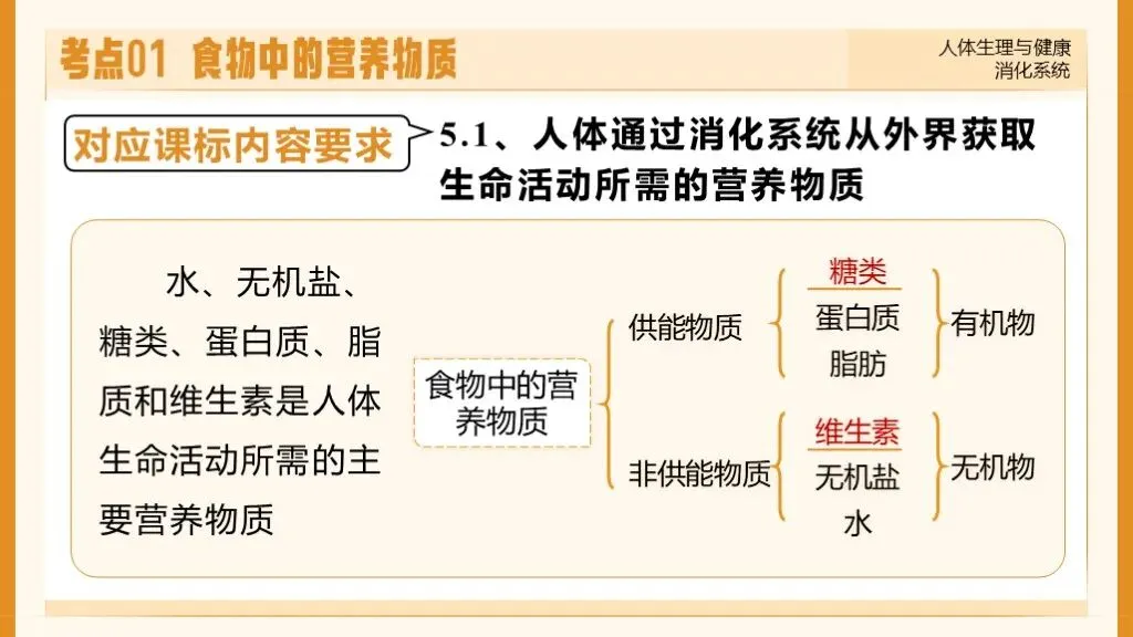 中考生物一轮复习专题5.1《人体生理与健康-消化系统》 第19张