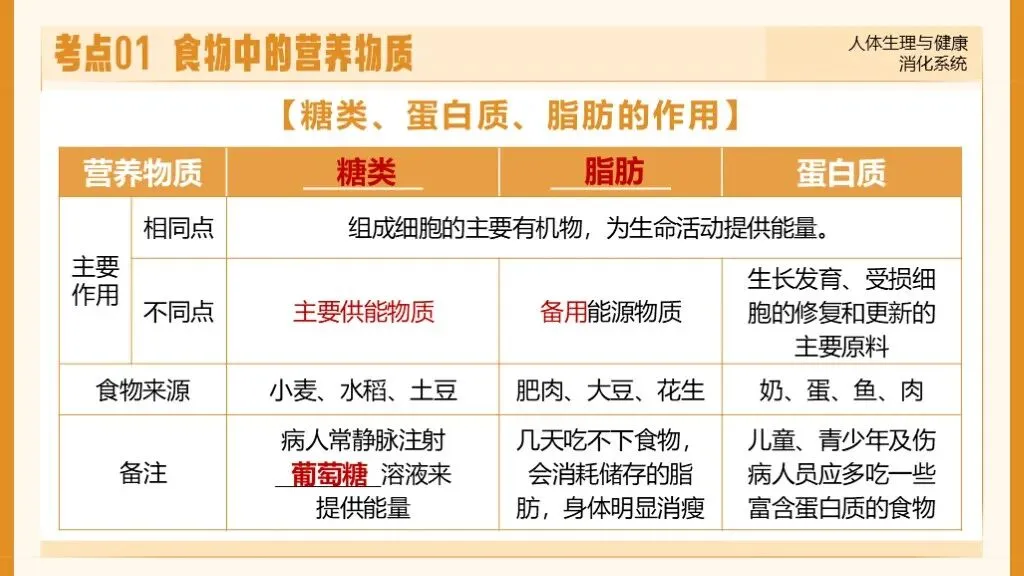 中考生物一轮复习专题5.1《人体生理与健康-消化系统》 第20张