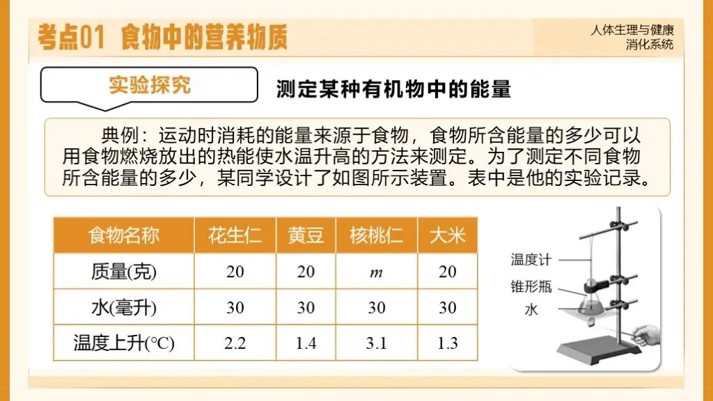 中考生物一轮复习专题5.1《人体生理与健康-消化系统》 第21张