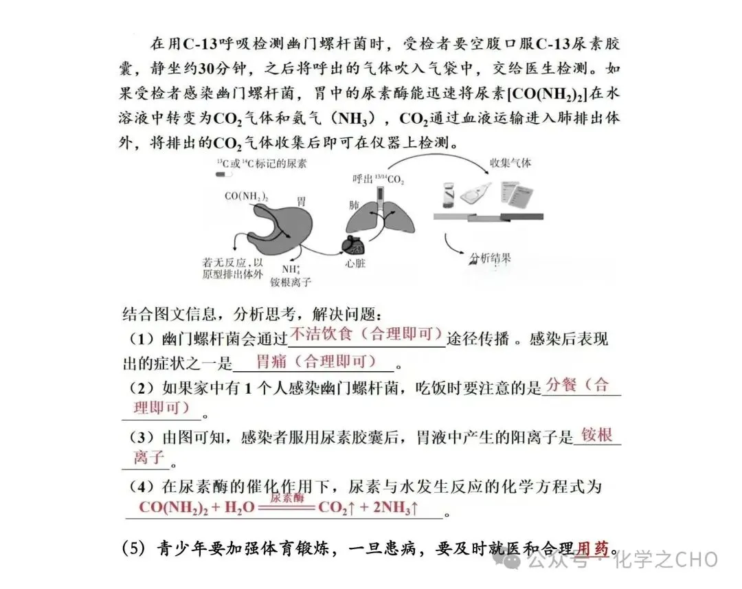 中考化学 科普阅读题怎么做?照着这套思路,满分稳拿(电子版可下载) 第8张
