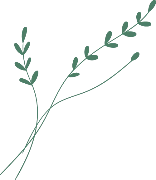 视导赋能促提升,精准备考创佳绩,中考备考常规视导暨鱼湾中学备考 第1张