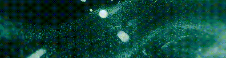 中考后转轨,获剑桥大学offer,他道破了名校录取的“秘诀” 第1张