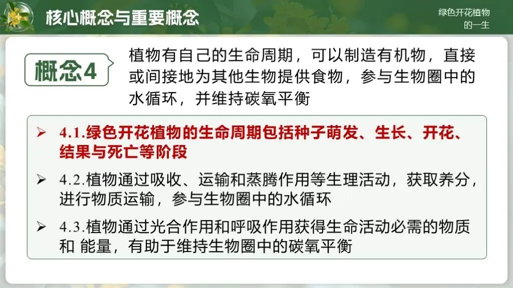中考生物一轮复习专题4.1《植物的生活-绿色开花植物的一生》 第13张
