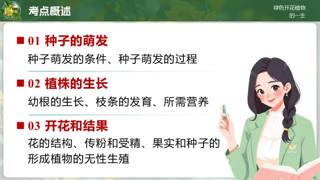 中考生物一轮复习专题4.1《植物的生活-绿色开花植物的一生》 第15张