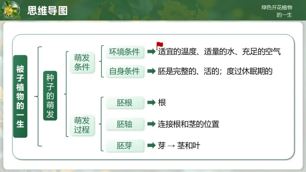 中考生物一轮复习专题4.1《植物的生活-绿色开花植物的一生》 第17张