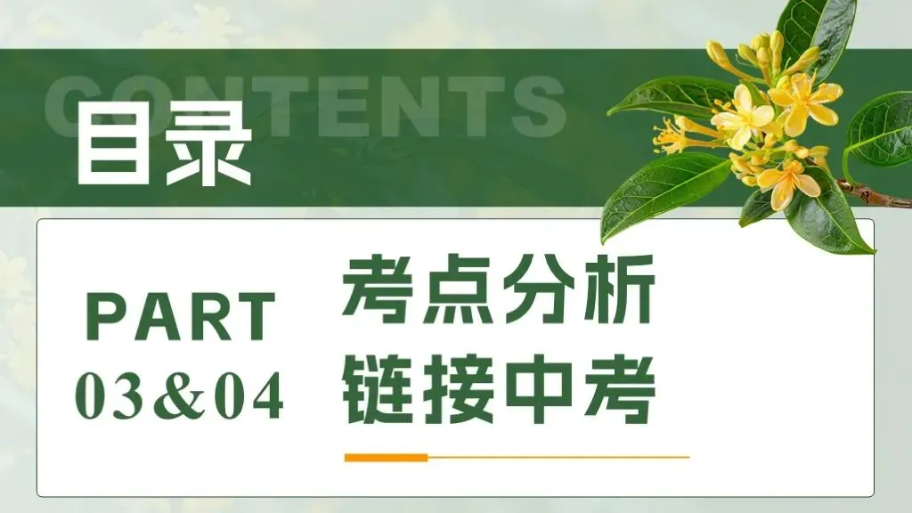 中考生物一轮复习专题4.1《植物的生活-绿色开花植物的一生》 第20张