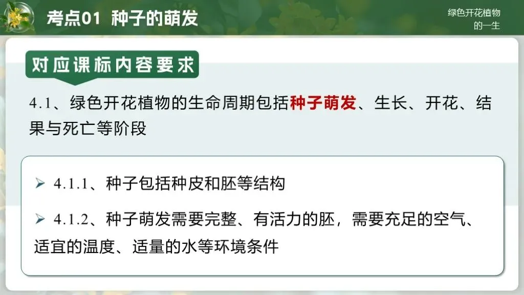 中考生物一轮复习专题4.1《植物的生活-绿色开花植物的一生》 第21张