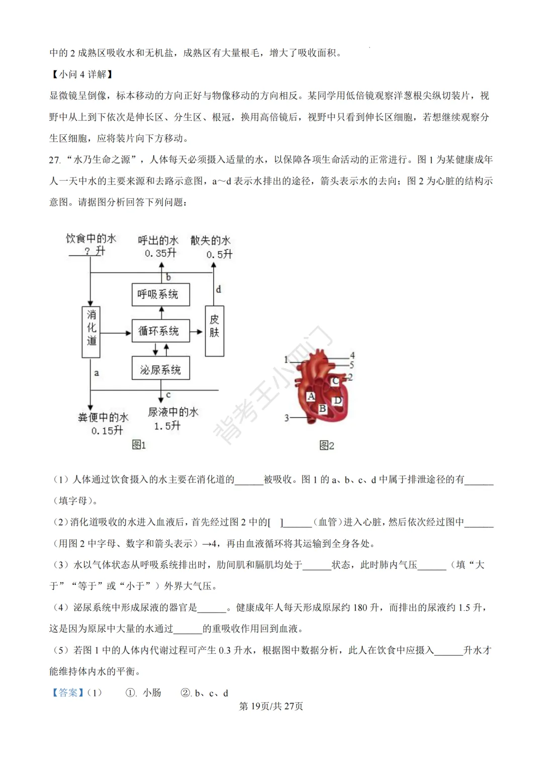 山东省济南市2025年中考小四门真题及答案解析(生物/历史/道法) 第31张