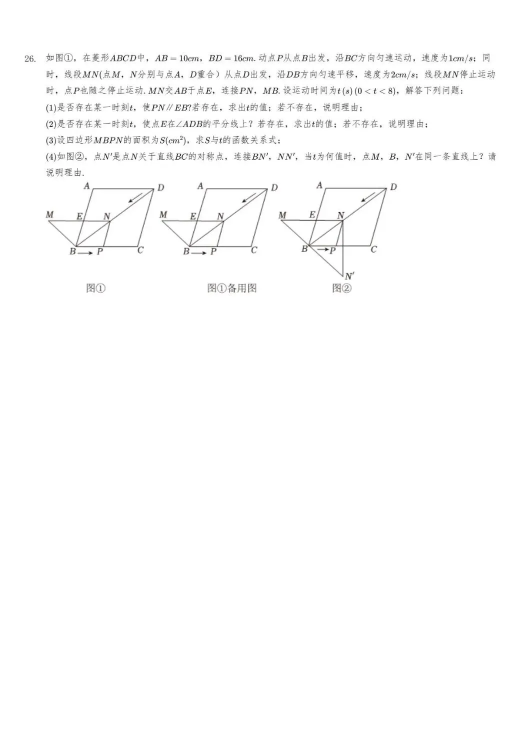 2025年青岛市城阳区中考一模语文、数学、英语、物理、化学、历史、道法、生物、地理真题|高清版 第8张