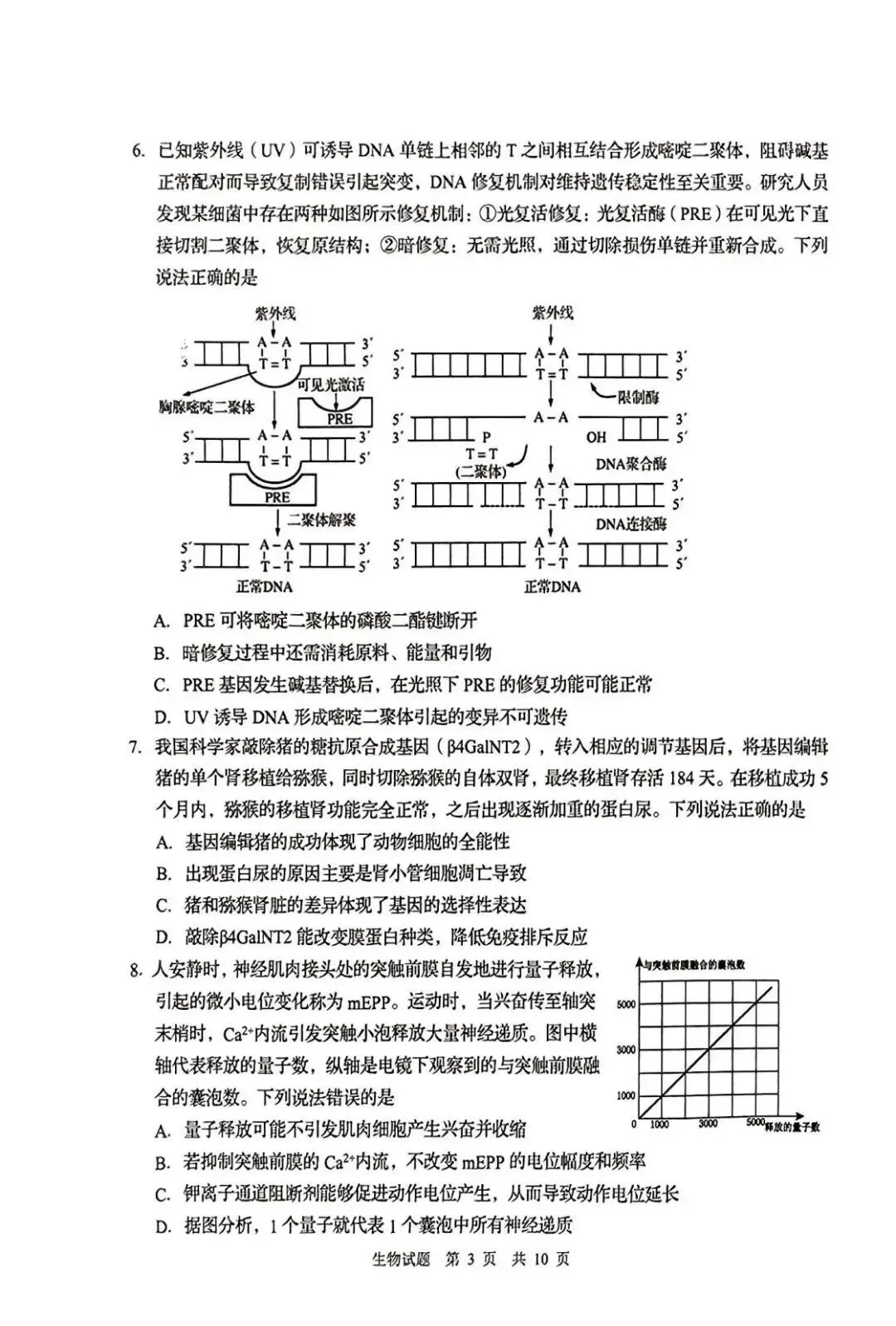 2025年青岛市城阳区中考一模语文、数学、英语、物理、化学、历史、道法、生物、地理真题|高清版 第47张