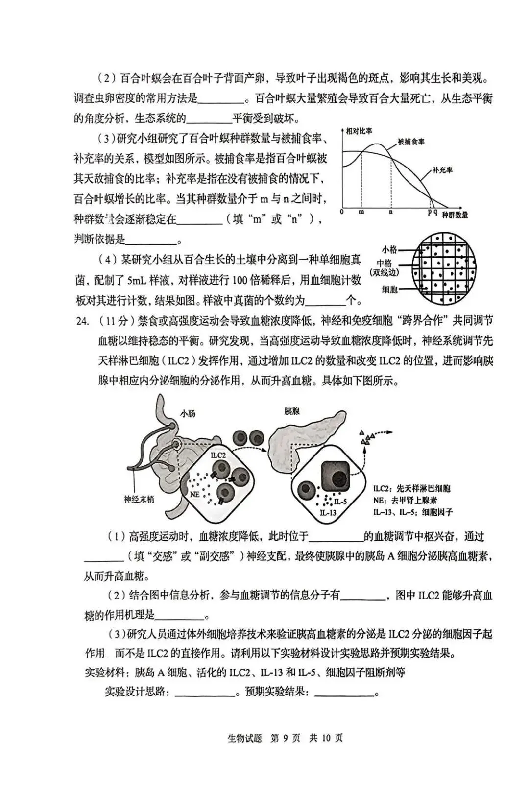 2025年青岛市城阳区中考一模语文、数学、英语、物理、化学、历史、道法、生物、地理真题|高清版 第53张