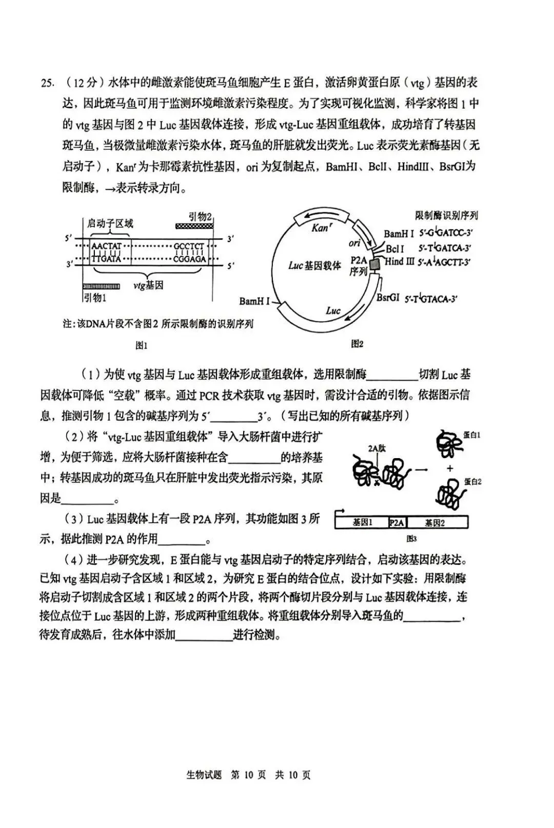 2025年青岛市城阳区中考一模语文、数学、英语、物理、化学、历史、道法、生物、地理真题|高清版 第54张