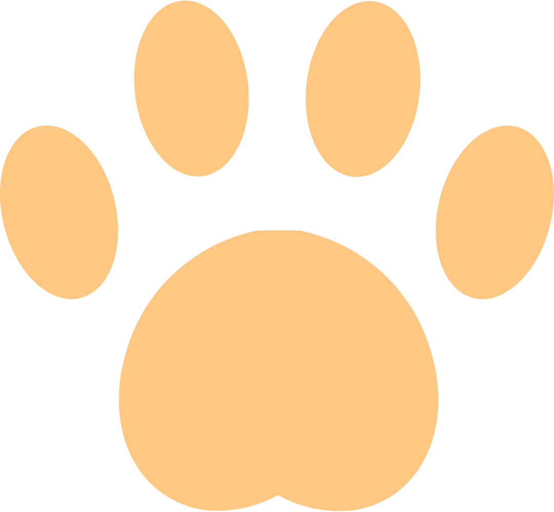 百日砺剑 决胜中考——博罗县石坝中学2026年中考誓师大会圆满举行 第32张