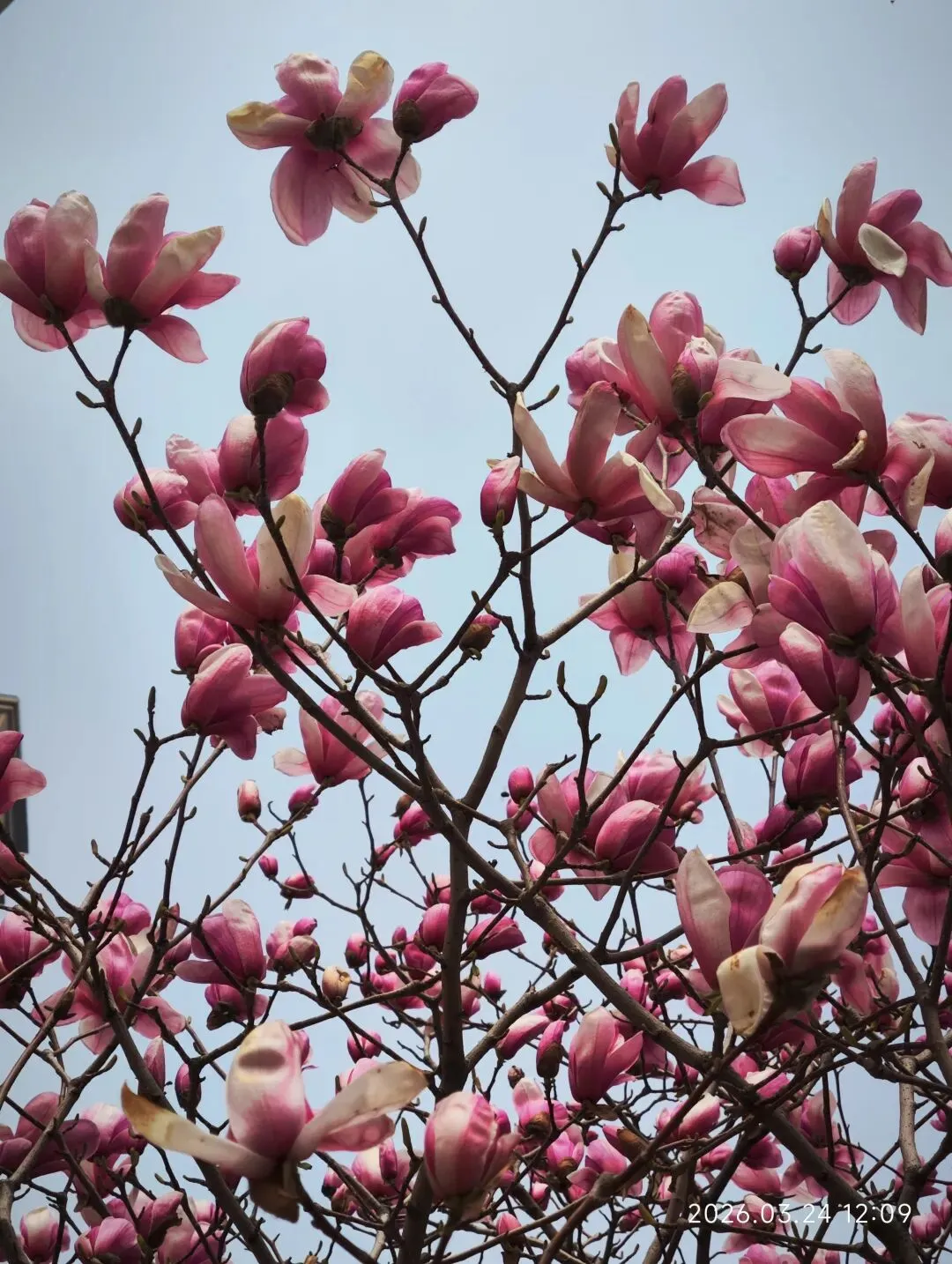 中考倒计时第88天 第1张