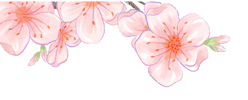 异构复习课堂 助力中考辉煌——王成广名师领航工作室送教活动在冠县实验中学举行 第13张