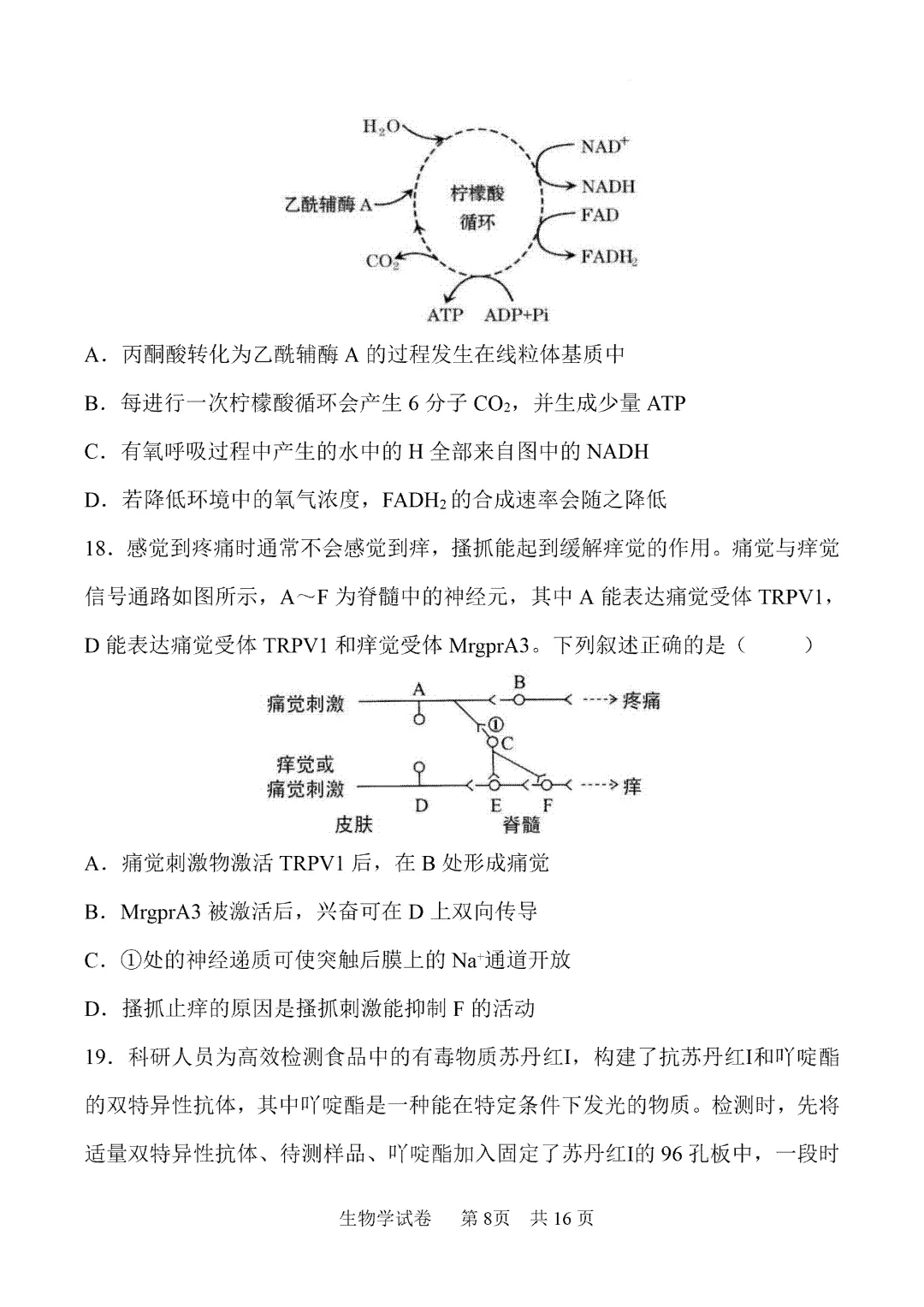 内蒙古鄂尔多斯市2026届第一次模拟考试生物试卷 第9张