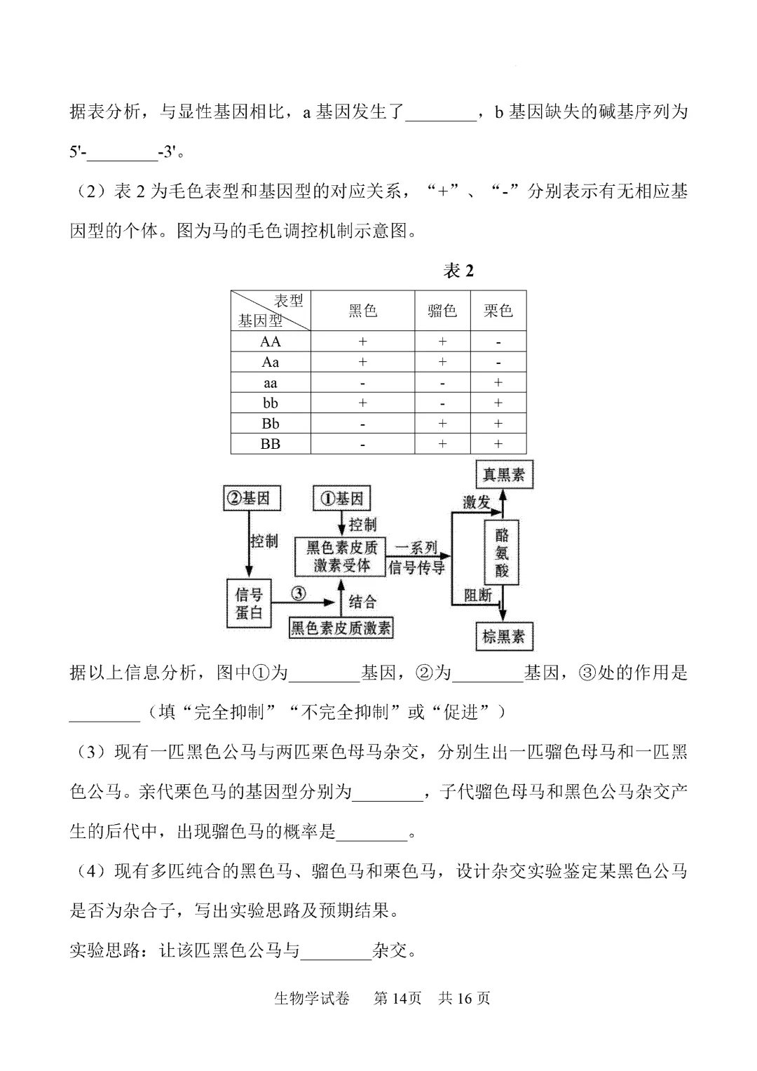 内蒙古鄂尔多斯市2026届第一次模拟考试生物试卷 第15张