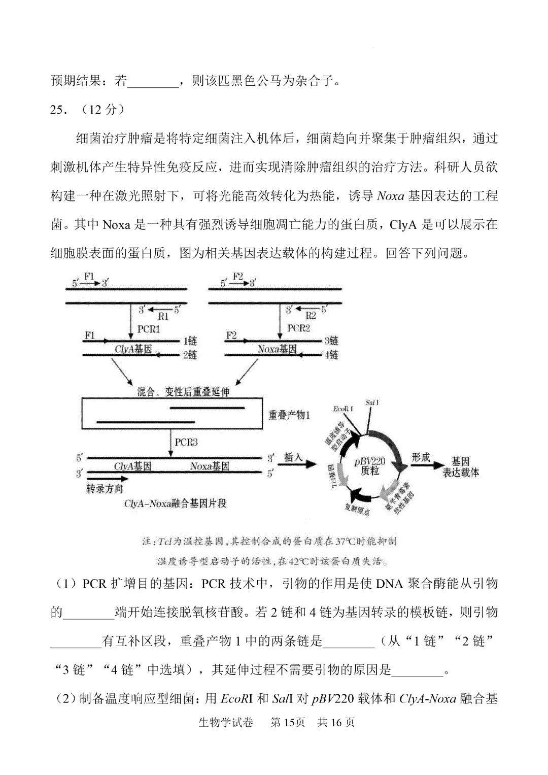 内蒙古鄂尔多斯市2026届第一次模拟考试生物试卷 第16张