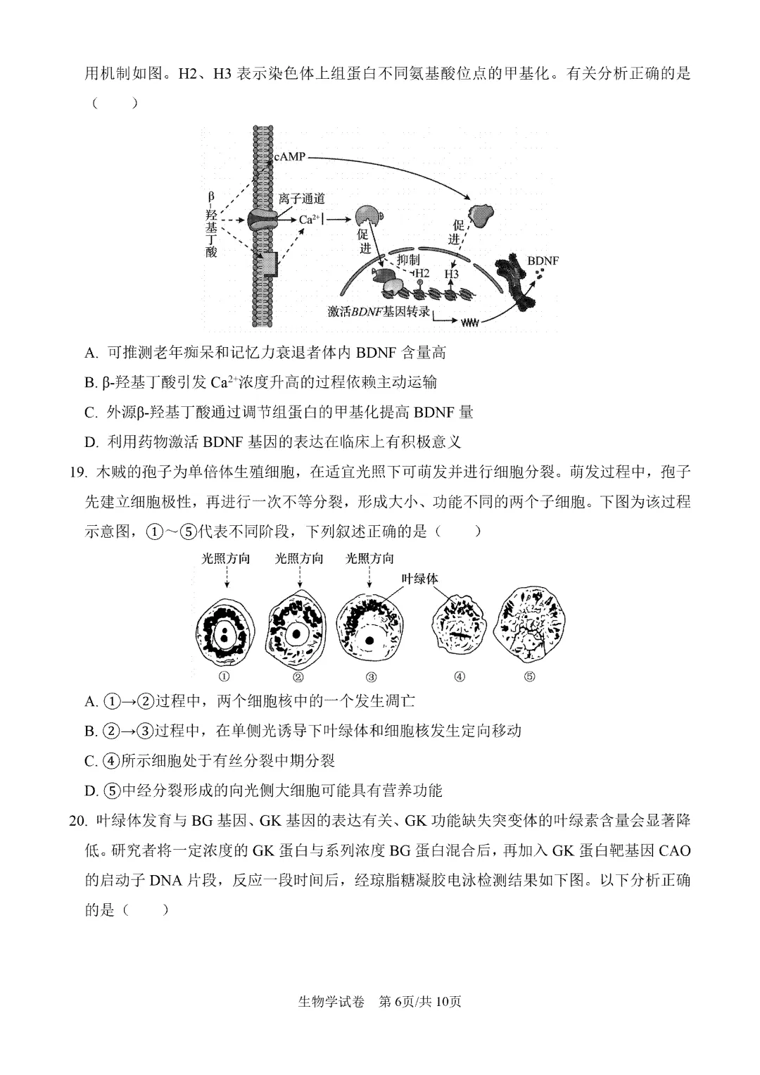 内蒙古呼和浩特市2026届第一次模拟考试生物试卷【附下载链接】 第7张
