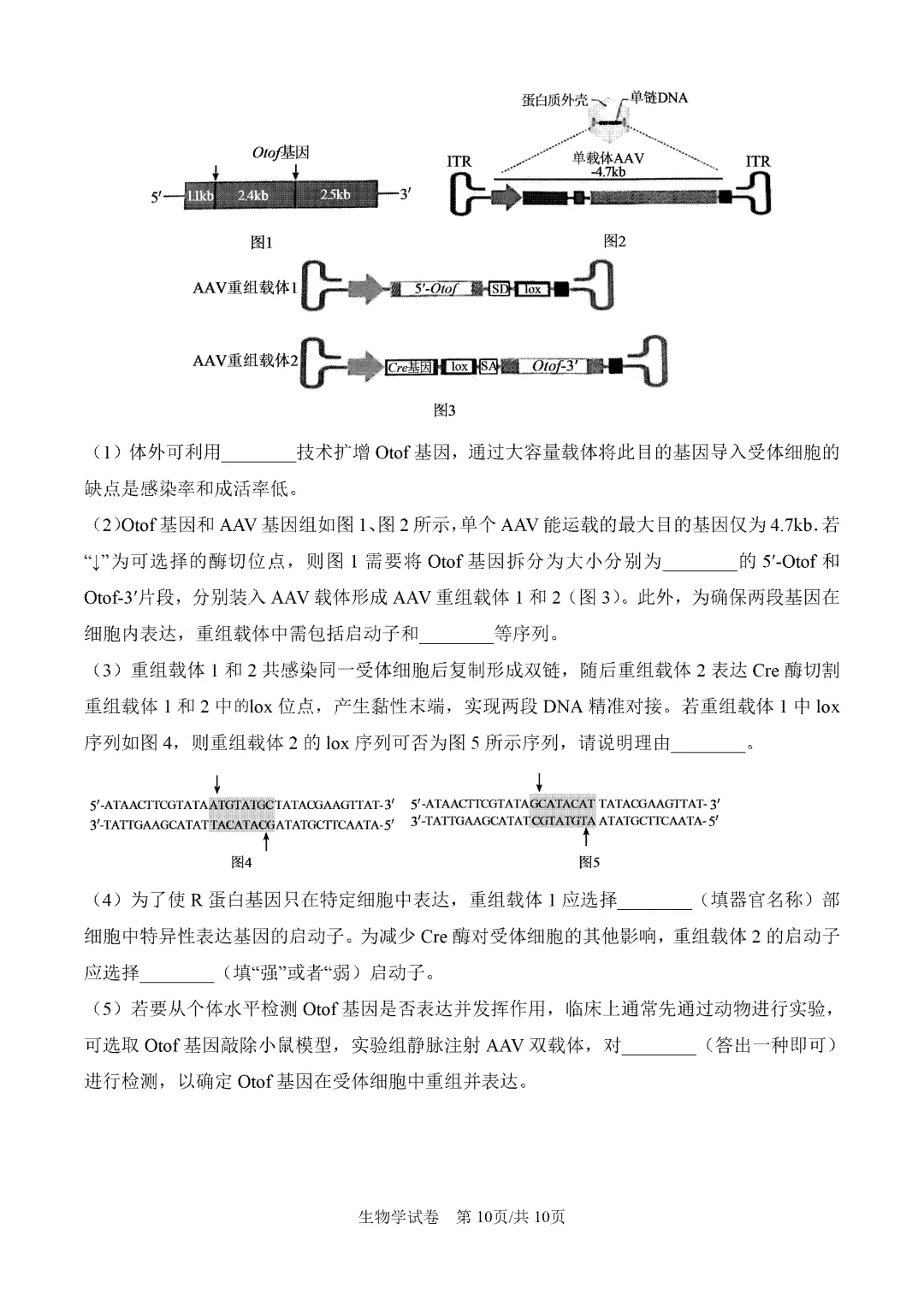 内蒙古呼和浩特市2026届第一次模拟考试生物试卷【附下载链接】 第11张