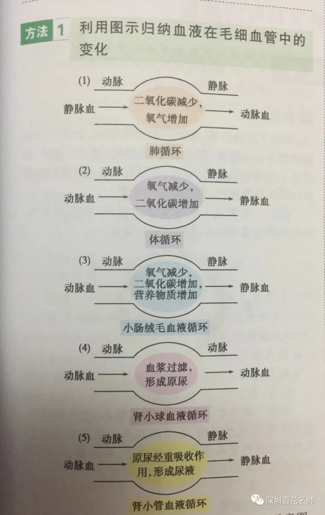 冲刺深圳初二生地会考A+,中考才能算“稳赢” 第19张