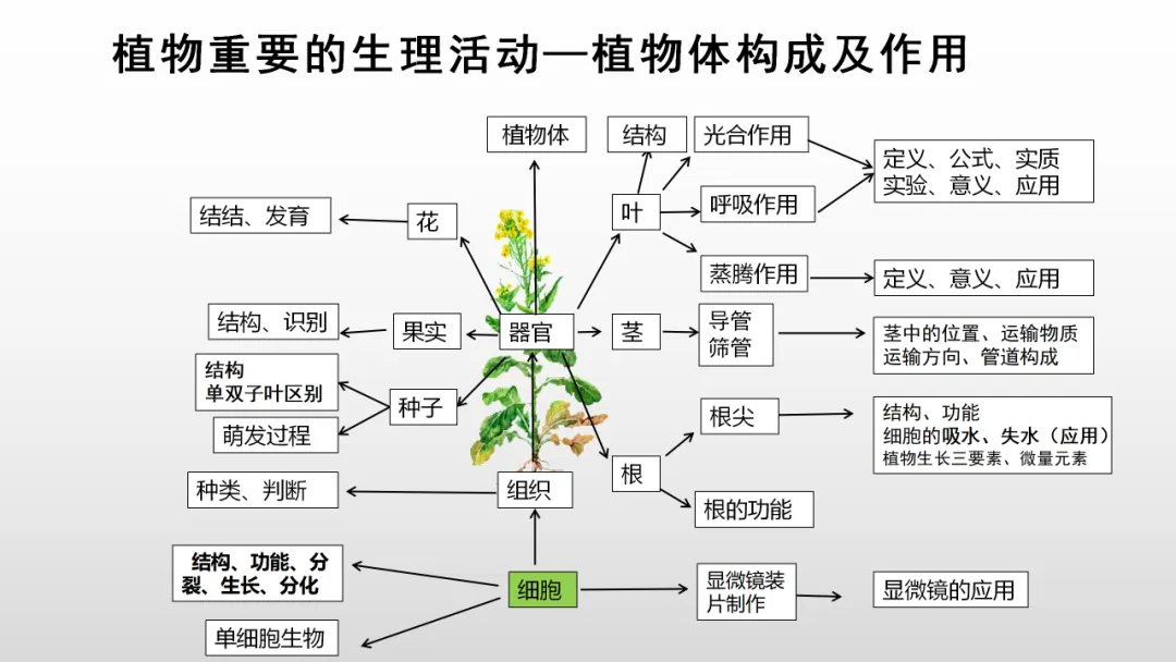 冲刺深圳初二生地会考A+,中考才能算“稳赢” 第24张