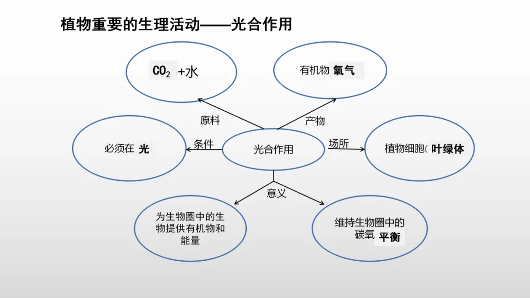 冲刺深圳初二生地会考A+,中考才能算“稳赢” 第25张