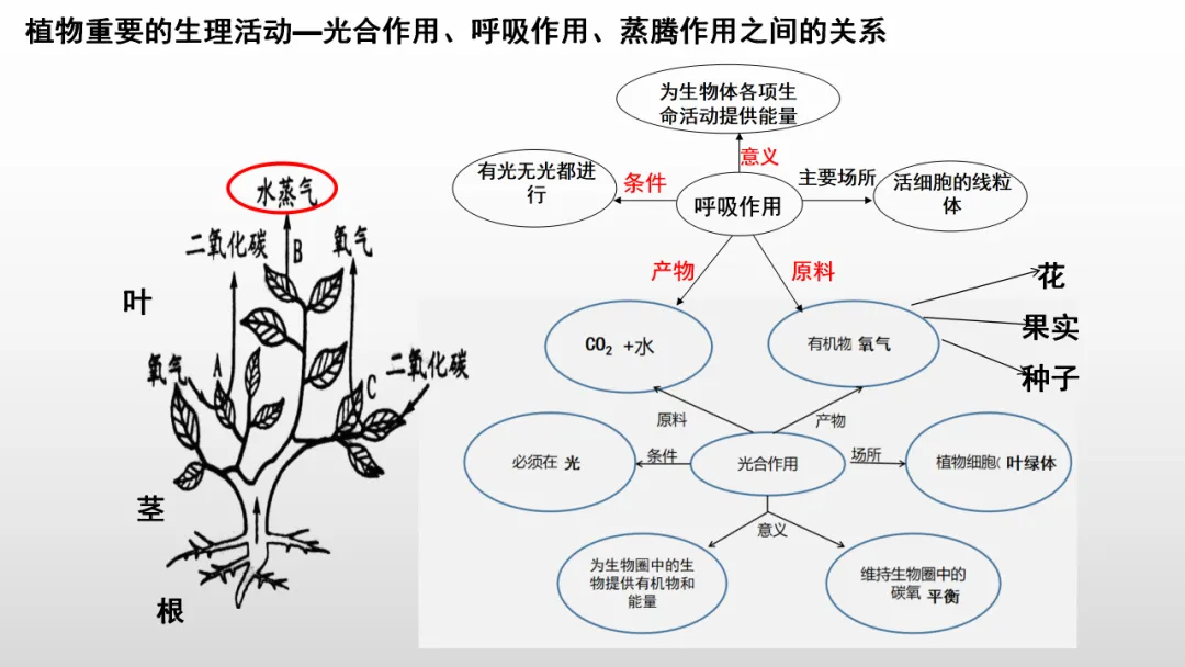 冲刺深圳初二生地会考A+,中考才能算“稳赢” 第26张