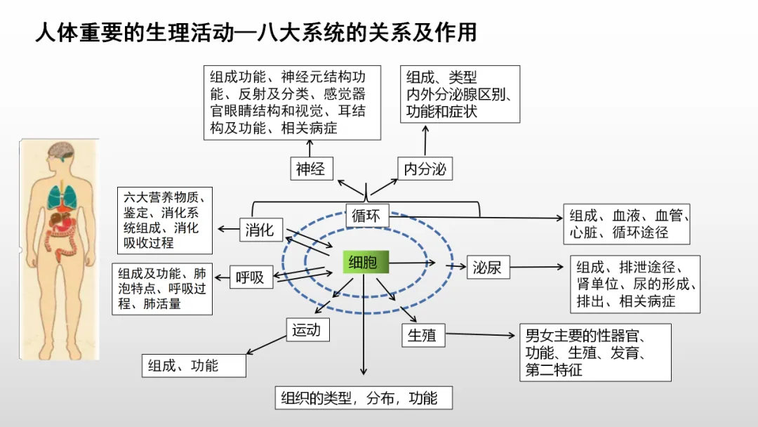 冲刺深圳初二生地会考A+,中考才能算“稳赢” 第28张