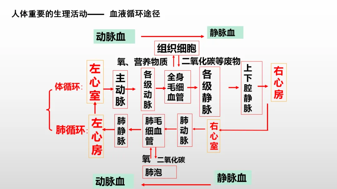冲刺深圳初二生地会考A+,中考才能算“稳赢” 第31张