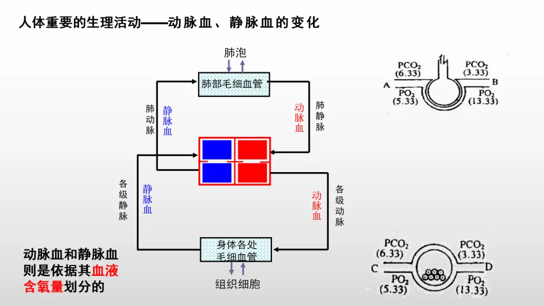 冲刺深圳初二生地会考A+,中考才能算“稳赢” 第32张
