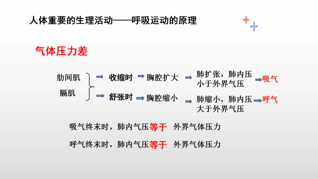 冲刺深圳初二生地会考A+,中考才能算“稳赢” 第34张