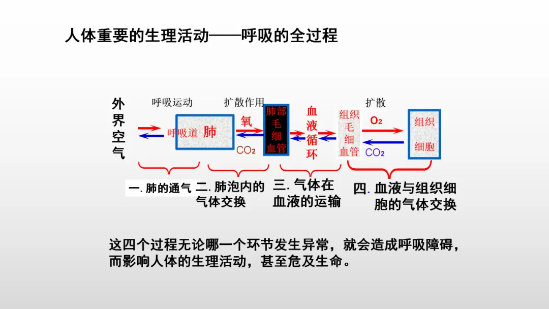 冲刺深圳初二生地会考A+,中考才能算“稳赢” 第35张