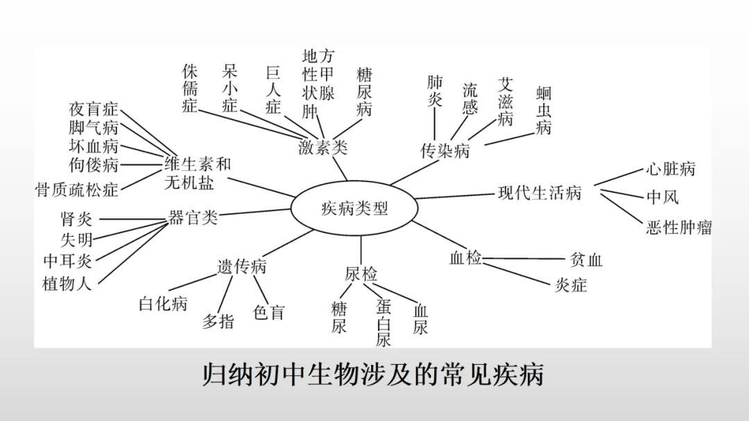 冲刺深圳初二生地会考A+,中考才能算“稳赢” 第44张