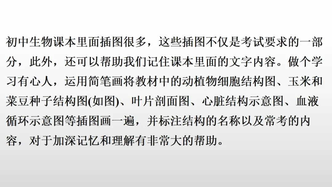 冲刺深圳初二生地会考A+,中考才能算“稳赢” 第46张