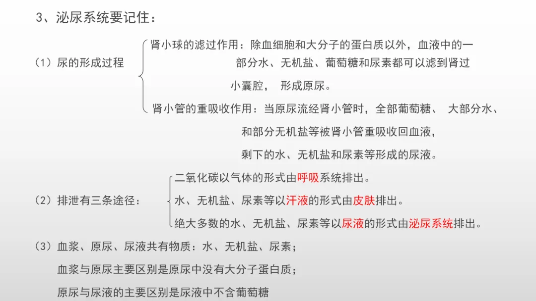 冲刺深圳初二生地会考A+,中考才能算“稳赢” 第56张