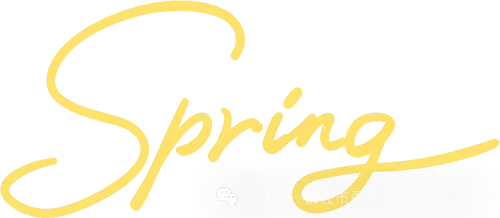 青平二中2026年中考百日誓师大会 第23张