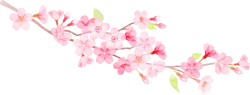 百日策马闯雄关 不负韶华战中考——惠阳华附2026届中考百日誓师大会圆满举行 第8张